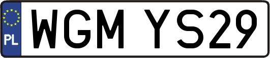 WGMYS29