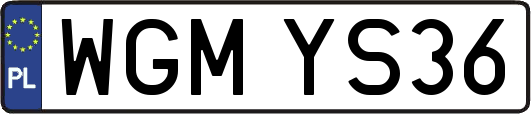 WGMYS36