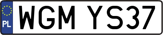 WGMYS37
