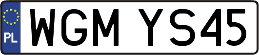 WGMYS45