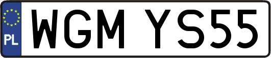 WGMYS55