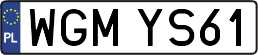 WGMYS61