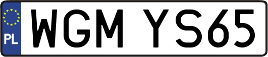 WGMYS65
