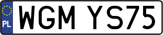 WGMYS75