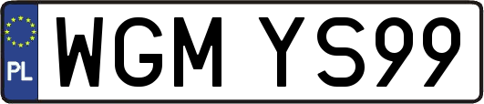 WGMYS99