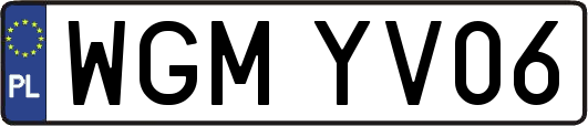 WGMYV06