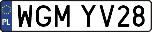 WGMYV28