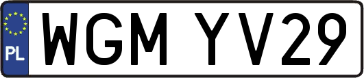 WGMYV29