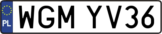 WGMYV36
