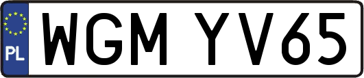 WGMYV65