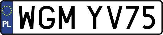 WGMYV75