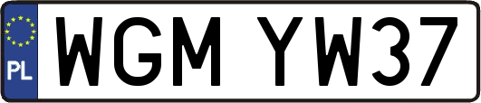 WGMYW37