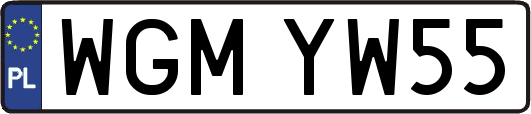 WGMYW55