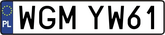 WGMYW61
