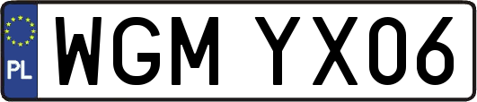 WGMYX06