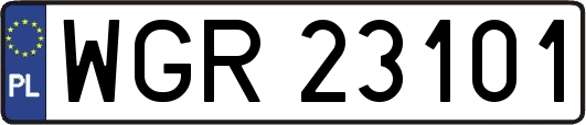 WGR23101