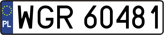 WGR60481