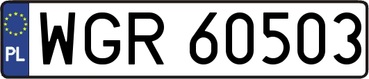 WGR60503