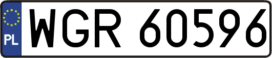 WGR60596