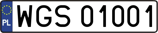 WGS01001