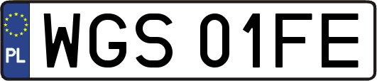 WGS01FE