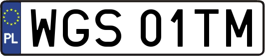 WGS01TM