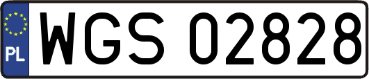 WGS02828