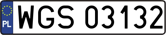 WGS03132