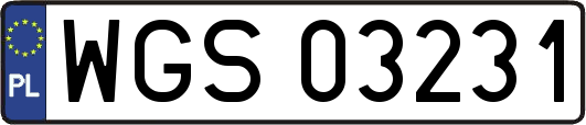 WGS03231