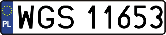 WGS11653