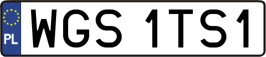 WGS1TS1