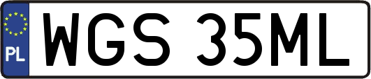 WGS35ML