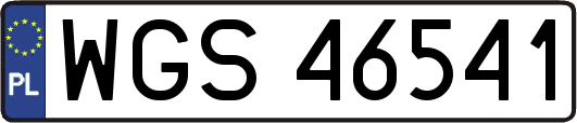 WGS46541
