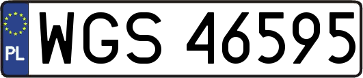 WGS46595