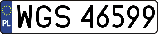 WGS46599