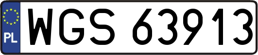 WGS63913