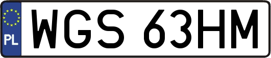 WGS63HM