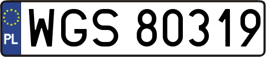 WGS80319