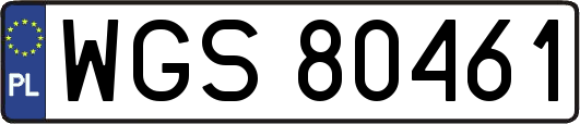 WGS80461