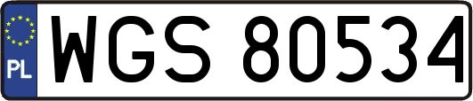 WGS80534