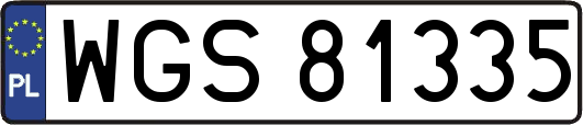 WGS81335