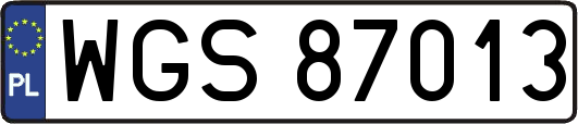 WGS87013