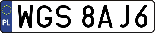 WGS8AJ6