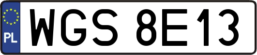 WGS8E13