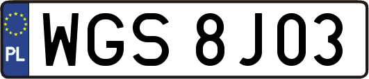WGS8J03