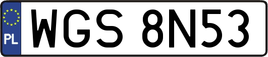 WGS8N53