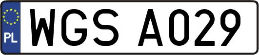 WGSA029