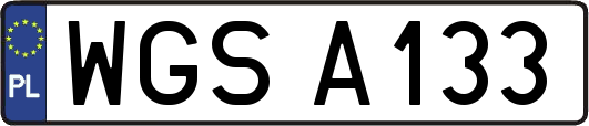 WGSA133