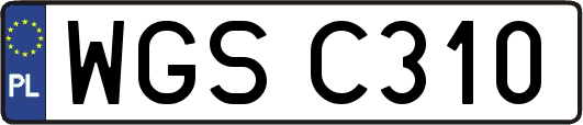 WGSC310