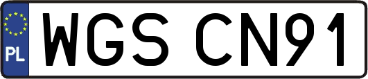 WGSCN91